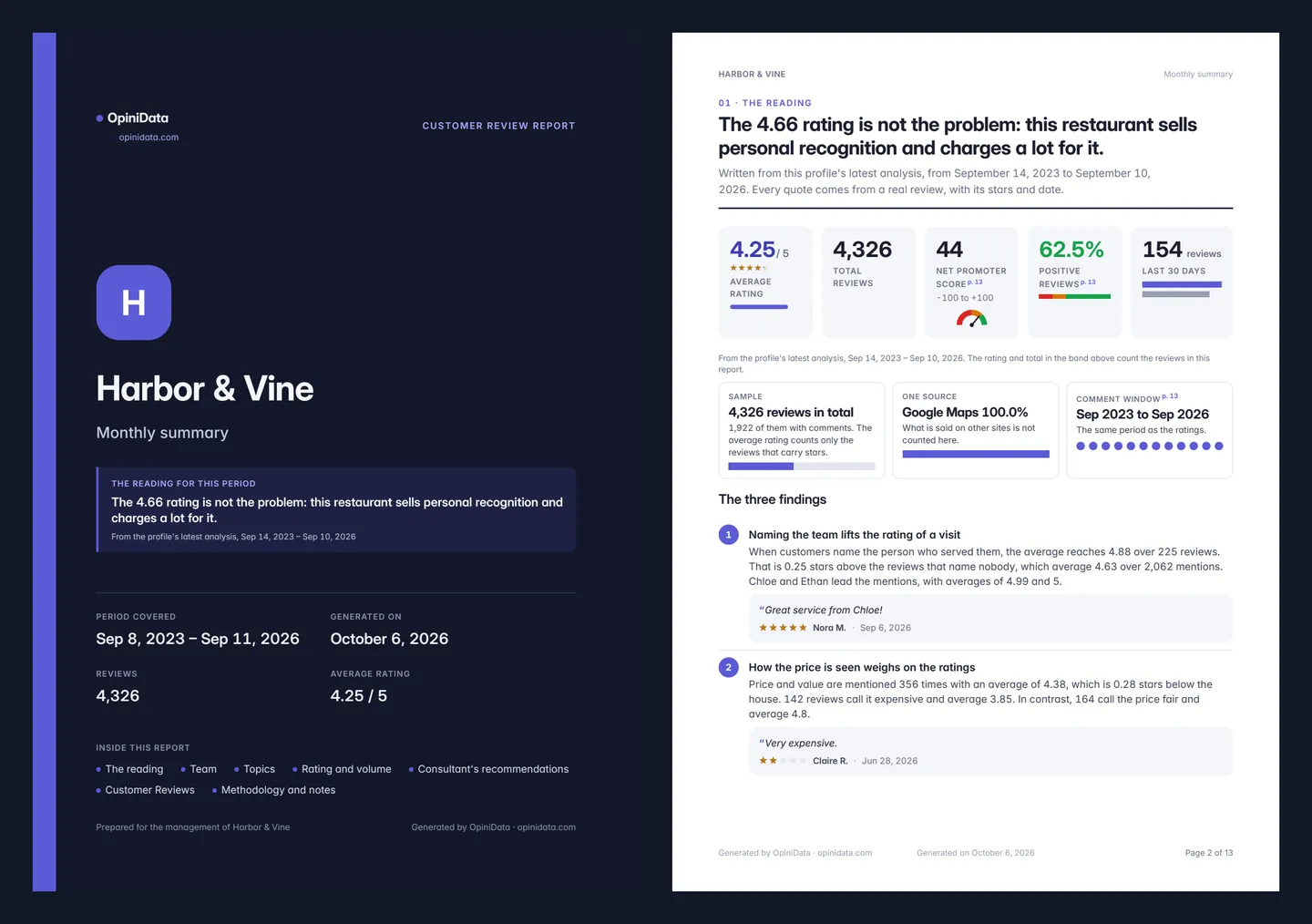Two pages of an OpiniData PDF report, the cover and the reading of the period, with example data